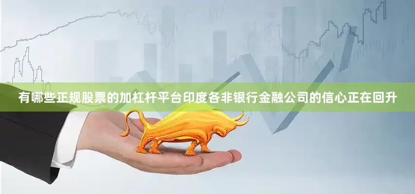 有哪些正规股票的加杠杆平台印度各非银行金融公司的信心正在回升