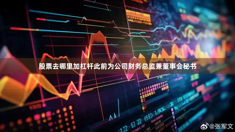 股票去哪里加杠杆此前为公司财务总监兼董事会秘书