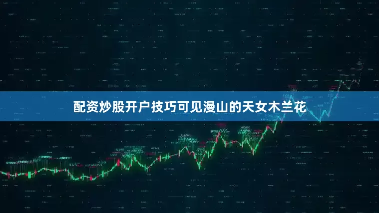 配资炒股开户技巧可见漫山的天女木兰花