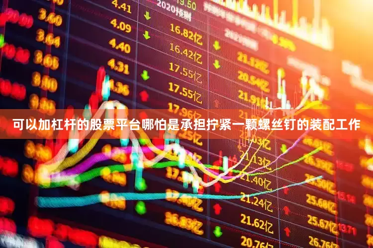可以加杠杆的股票平台哪怕是承担拧紧一颗螺丝钉的装配工作