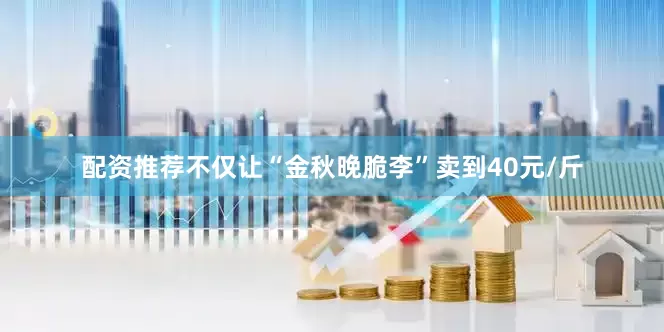 配资推荐不仅让“金秋晚脆李”卖到40元/斤