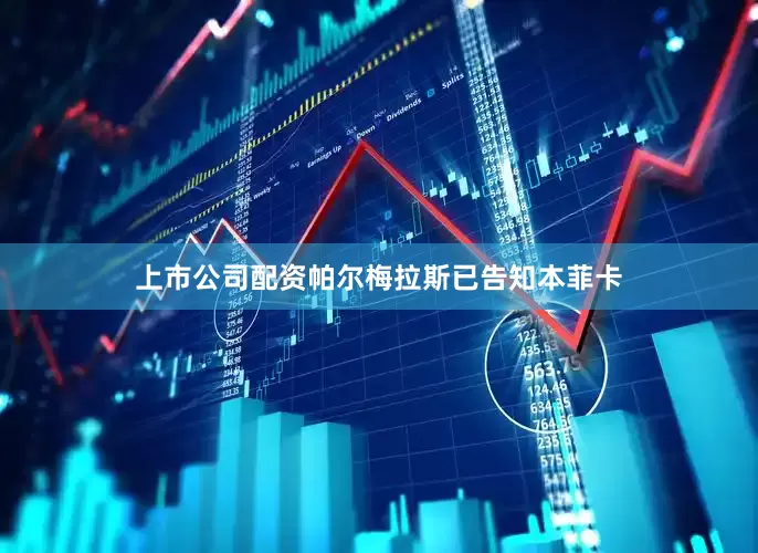 上市公司配资帕尔梅拉斯已告知本菲卡