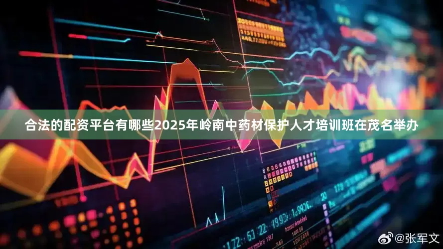 合法的配资平台有哪些2025年岭南中药材保护人才培训班在茂名举办