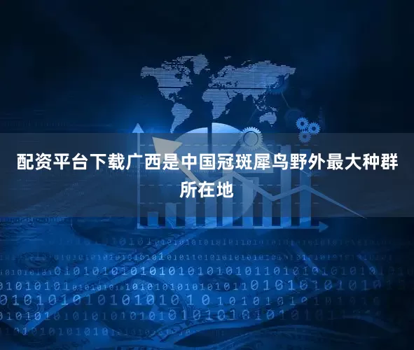 配资平台下载广西是中国冠斑犀鸟野外最大种群所在地